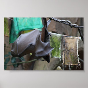 Bat (3) - Plakat/Druck Poster