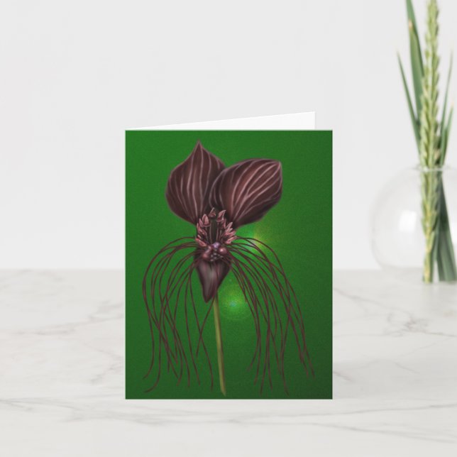Bat-Blume (Vorderseite)