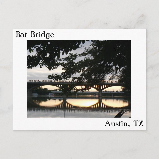 Bat Bridge in Austin, Texas Postcard Postkarte (Vorderseite)