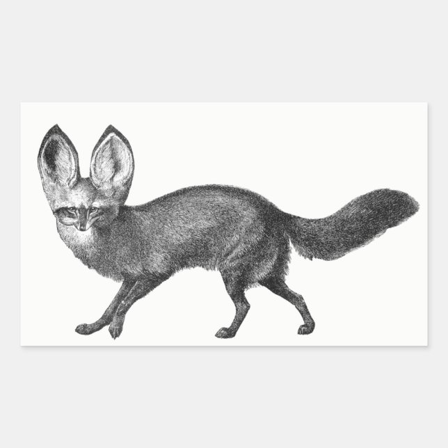 Bat Eared Fox Stickers (Vorderseite)