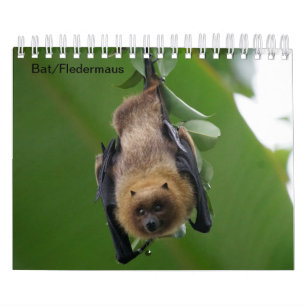 Bat/Fledermaus als Kalender