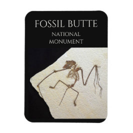 Bat Fossil, Fossil Butte National Monument Magnet