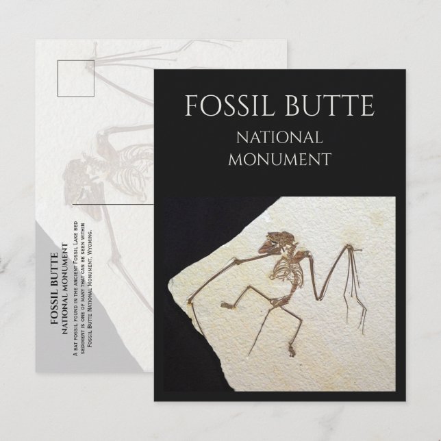 Bat Fossil, Fossil Lake, Fossil Butte, WY Postkarte (Vorne/Hinten)