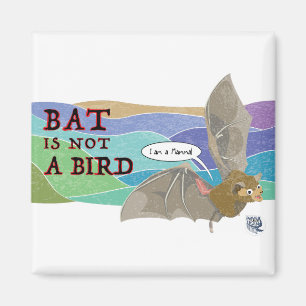 Bat ist kein Vogel Magnet