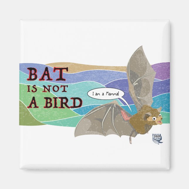 Bat ist kein Vogel Magnet (Vorne)