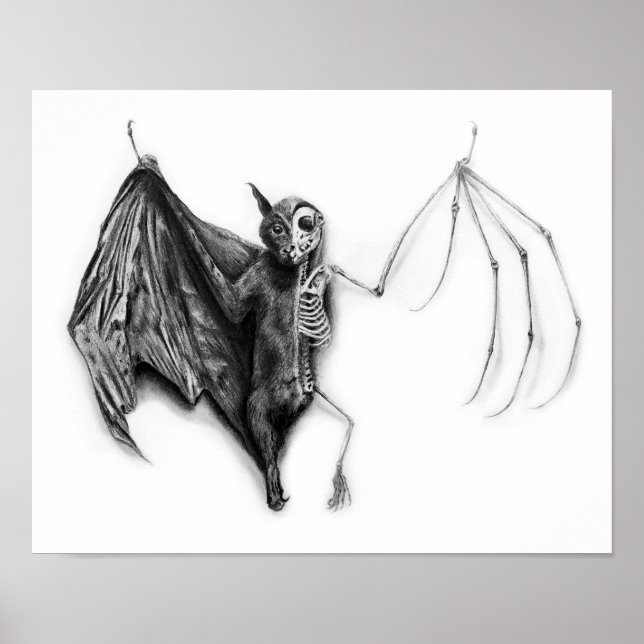 Bat-Probe Poster (Vorne)
