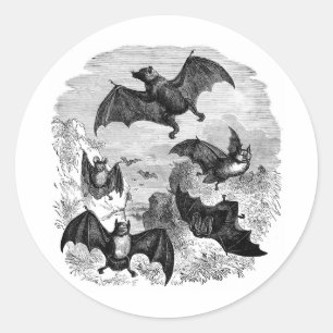 Bat Sketch Runder Aufkleber