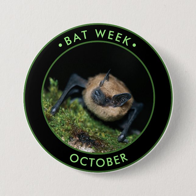 Bat Week, niedliche braune Fledermaus Button (Vorderseite)