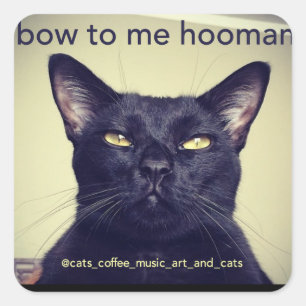 Batcat: beugen Sie sich mir als Hausaufkleber Quadratischer Aufkleber
