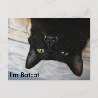 Batcat: Ich bin Batcat Postcard Postkarte