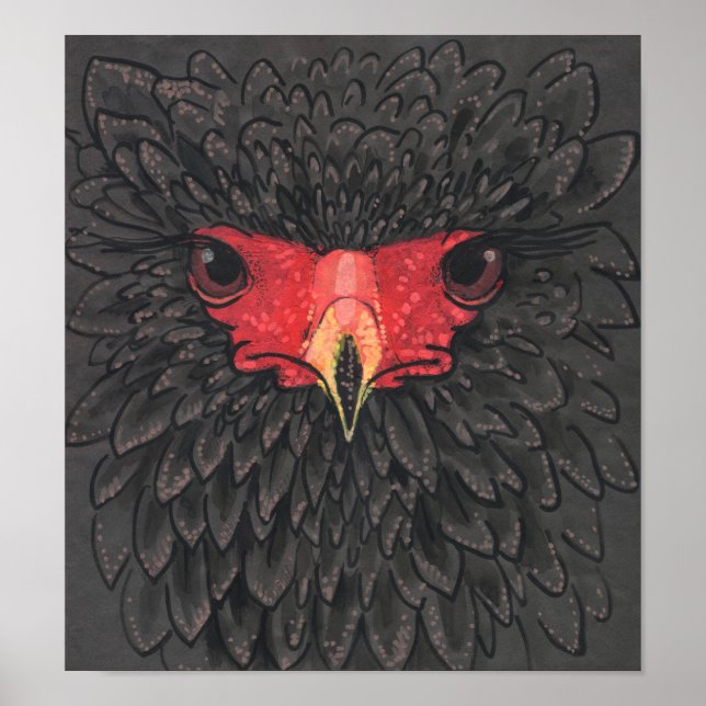 Bateleur Eagle African Bird Portrait Paper Collage Poster (Vorne)