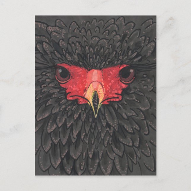 Bateleur Eagle African Bird Portrait Paper Collage Postkarte (Vorderseite)