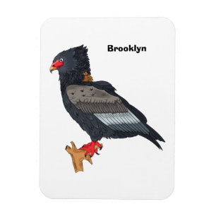 Bateleur Eagle Illustration Magnet