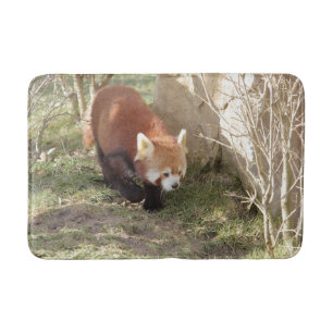 Bath Mat Foto rote Panda , Tiere 0126. Badematte