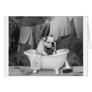 Bath Time großer Kerl