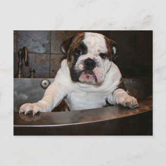 Bath Time Postkarte