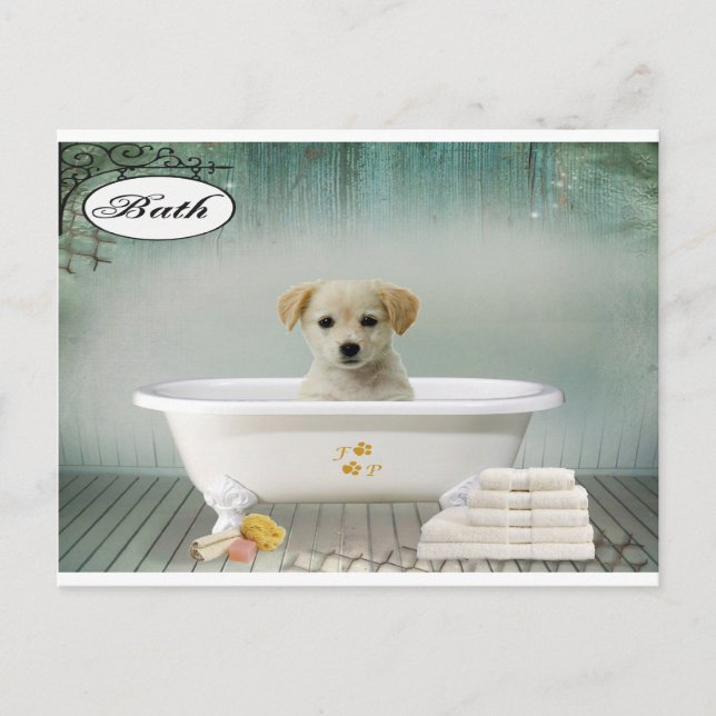 Bath Time Welpe Postkarte (Vorderseite)