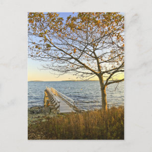 Bathed in Golden Light Postkarte