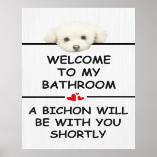 Bathroom Bichon Frise Poster