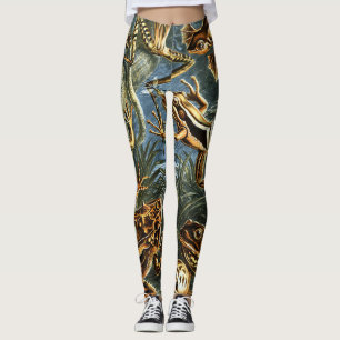 Batrachia Frogs von Ernst Haeckel Leggings
