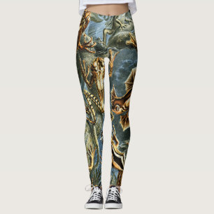 Batrachia Frogs von Ernst Haeckel Leggings
