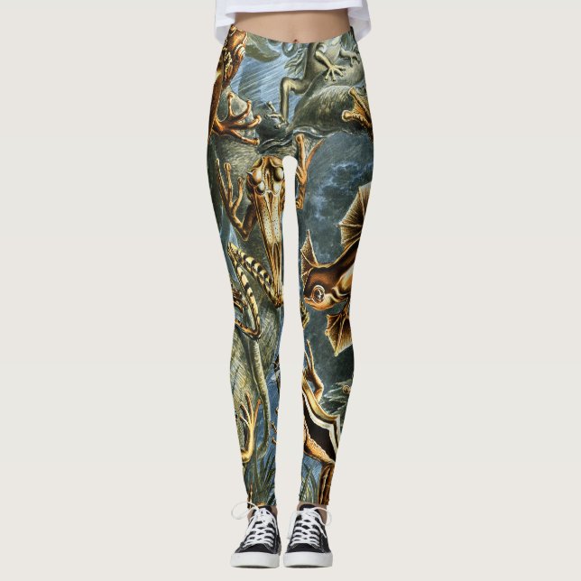 Batrachia Frogs von Ernst Haeckel Leggings (Vorderseite)