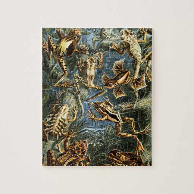 Batrachia Frogs von Ernst Haeckel Puzzle (Vertikal)
