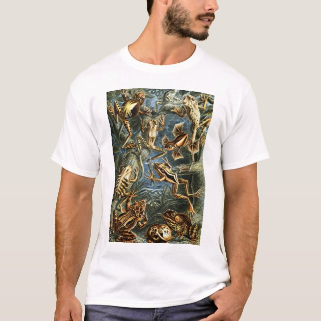 Batrachia Frogs von Ernst Haeckel T-Shirt (Vorderseite)