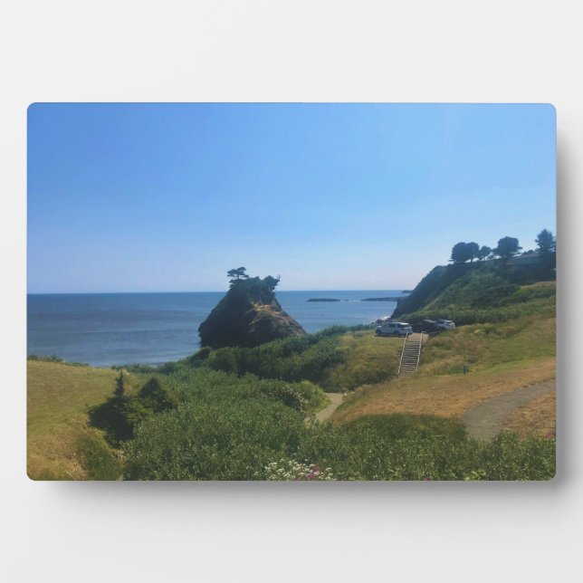 Battle Rock, Port Orford, Fotoplatte (Vorderseite)