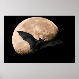 Batty Moon Poster