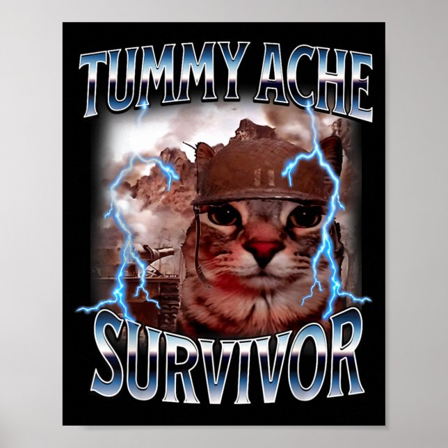 Bauchweh-Überlebender lustiger Katzen-Meme hat heu Poster (Vorne)