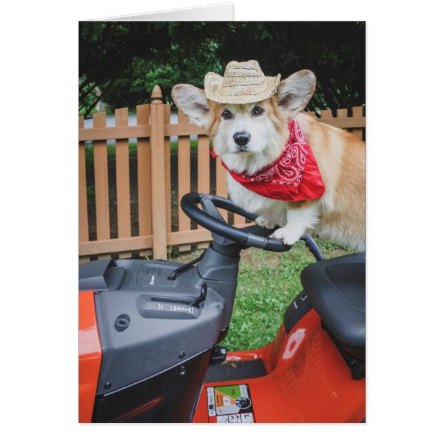 Bauer Corgi Blindkarte (Vorne)
