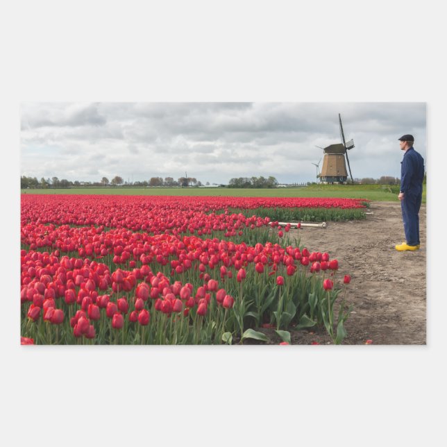 Bauer, der seine Tulpen und seine Windmühle kontro Rechteckiger Aufkleber (Vorderseite)
