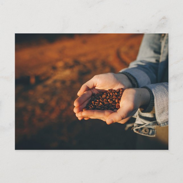 Bauer mit Kaffeebohnen Postkarte (Vorderseite)