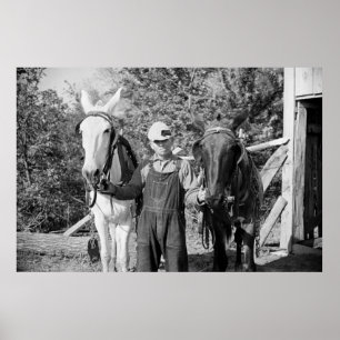 Bauer mit Pflugpferden der 30er Jahre Poster