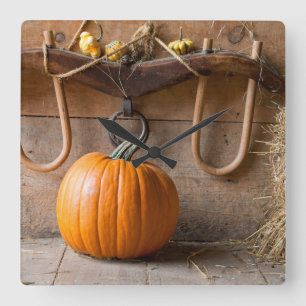 Bauer-Museum Kürbis in Scheune mit Heuballen Quadratische Wanduhr