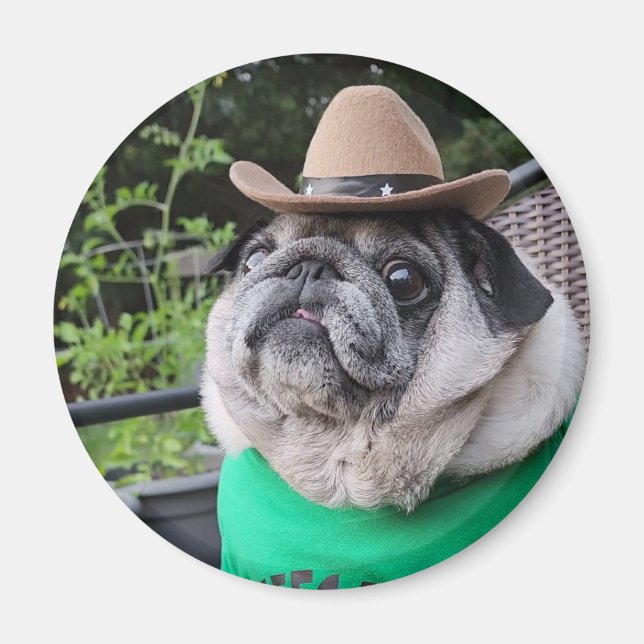 Bauer Pickles Magnet (Vorne)