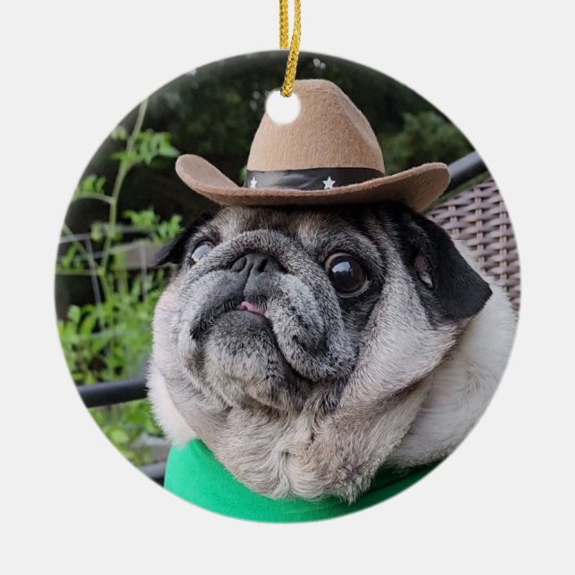 Bauer Pickles Ornament (Vorne)