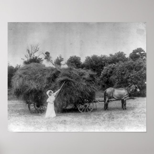 Bauer Poster (Vorne)