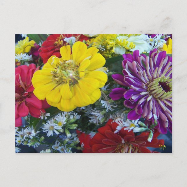 Bauer-Postkarten Postkarte (Vorderseite)