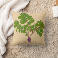 Bauer Radish Turnips Pflanze Gartenarbeit