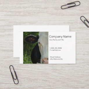 Bauer-Visitenkarte für Rinder Visitenkarte