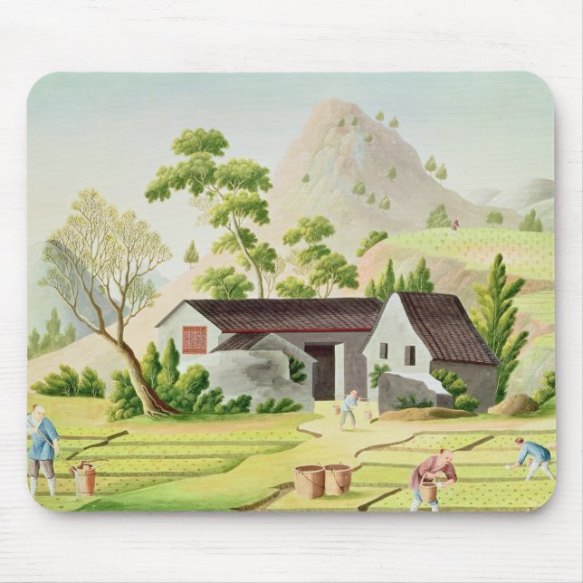 Bauern auf den Paddy-Gebieten Mousepad (Vorne)