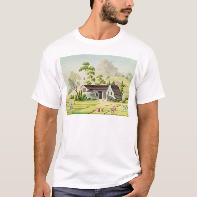 Bauern auf den Paddy-Gebieten T-Shirt (Vorderseite)