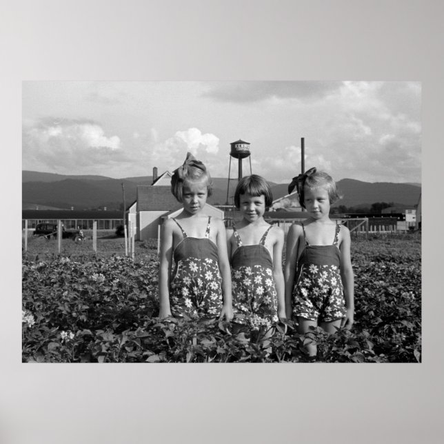 Bauern Töchter, 1939 Poster (Vorne)