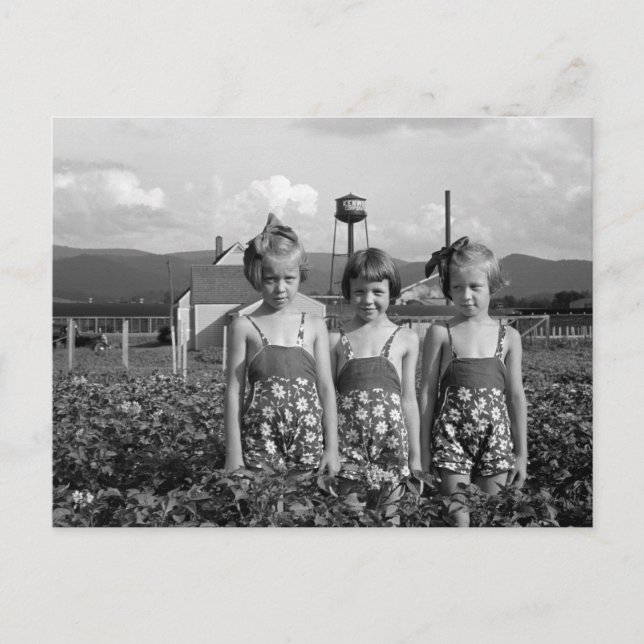 Bauern Töchter, 1939 Postkarte (Vorderseite)