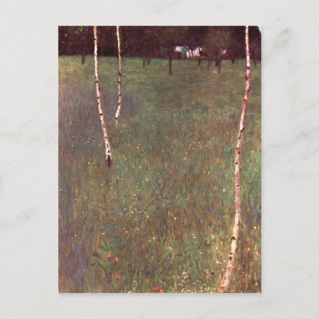 Bauernhäuser mit Birkenbäumen Postkarte (Vorderseite)