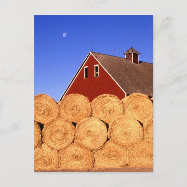 Bauernhof in Iowa Postkarte (Vorderseite)