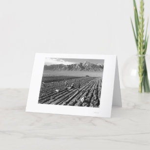 Bauernhof, Landarbeiter, Mt. Williamson 1943 Karte