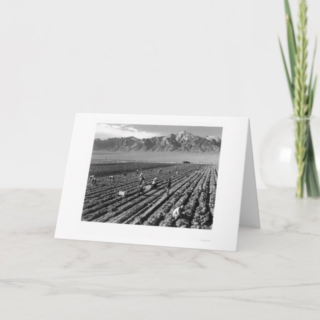 Bauernhof, Landarbeiter, Mt. Williamson 1943 Karte (Vorderseite)